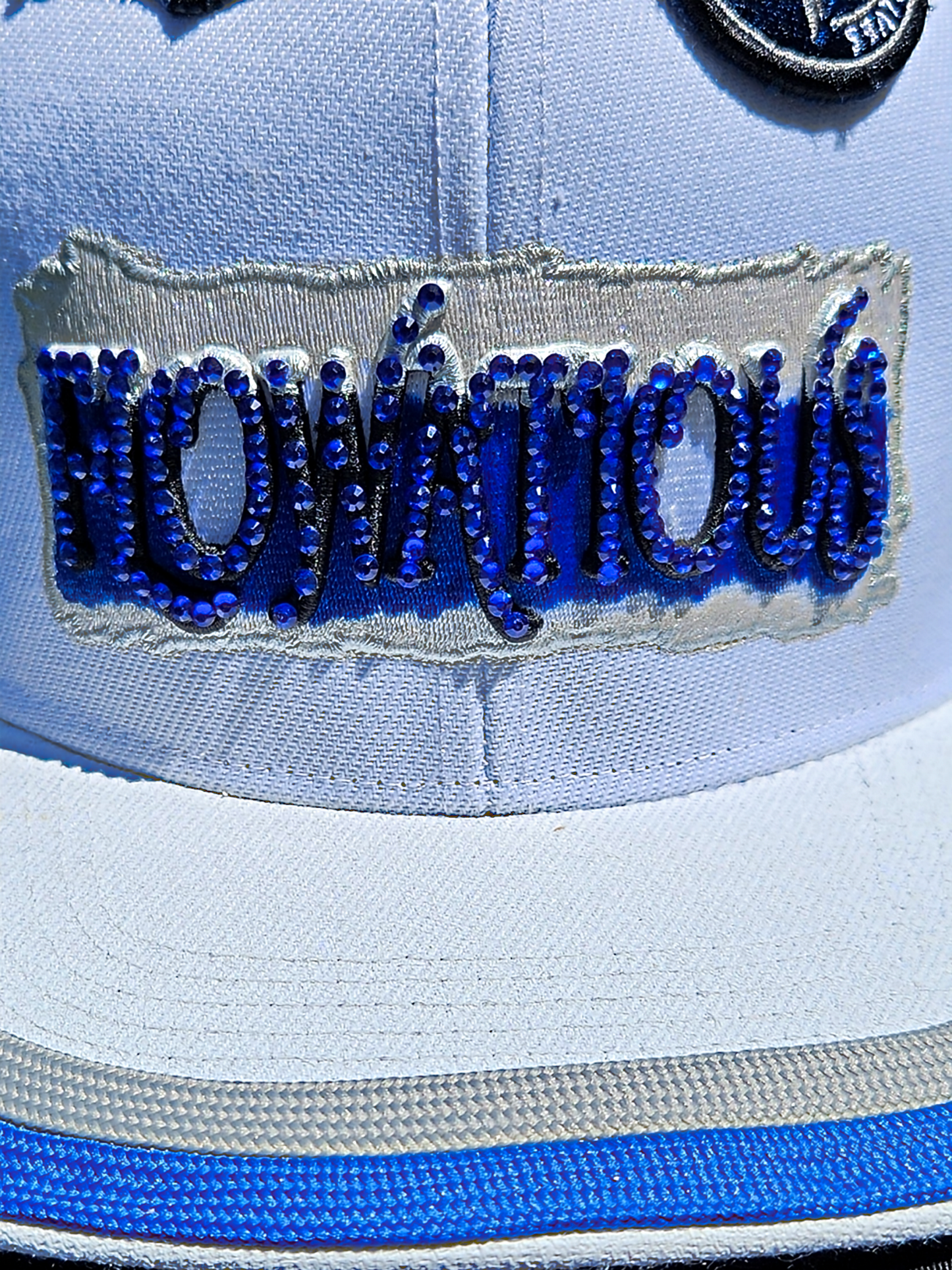 Flowatious™ Alpha Howl: Untamed Expression 1 of 1 Snapback